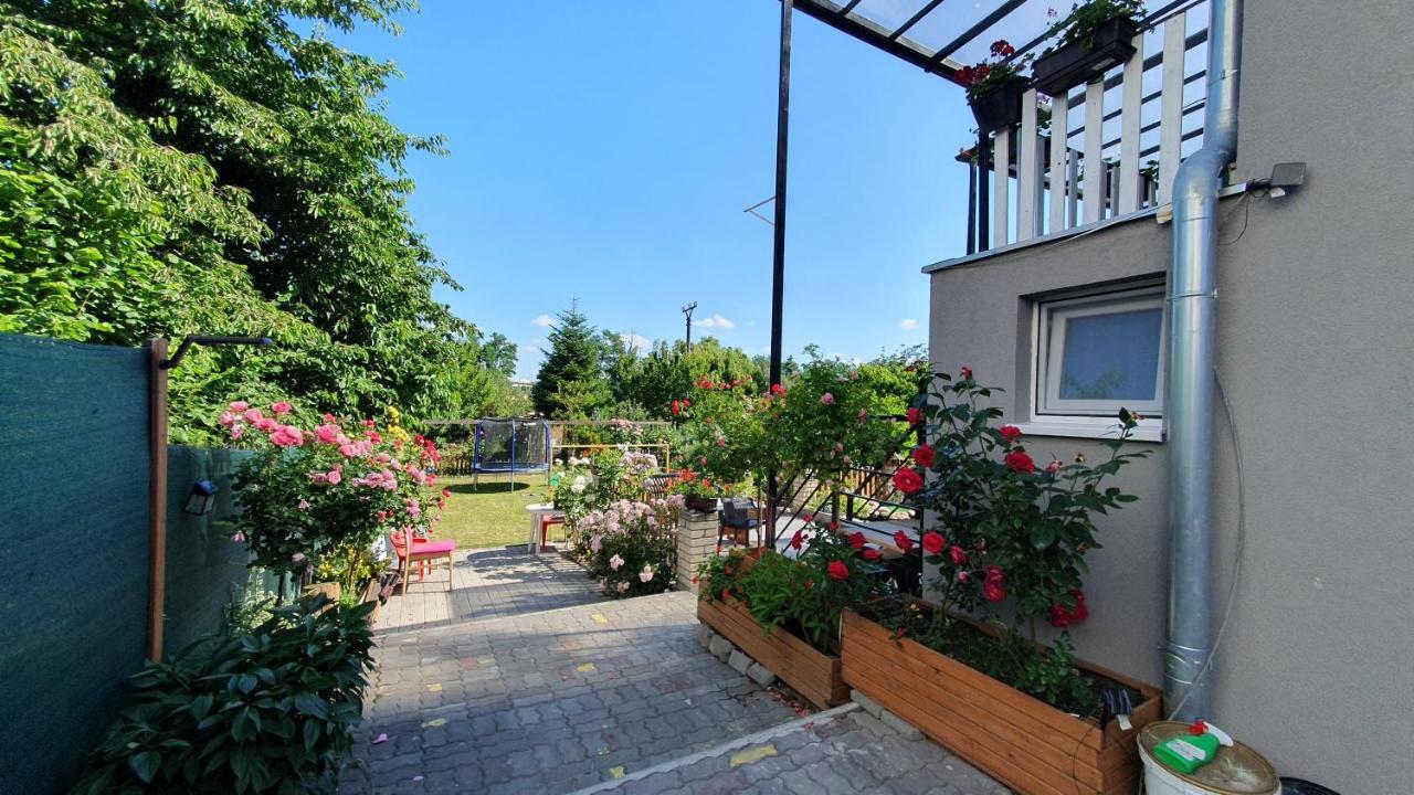 David Home 56 Znojmo Exterior foto